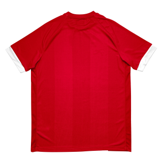 Raru Erkek Forma T-Shirt SALVEO KIRMIZI - RARU (1)